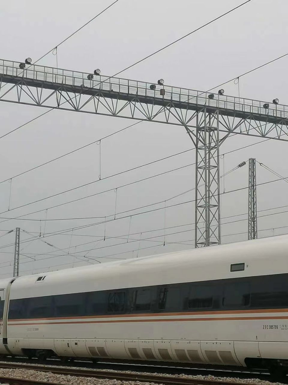 mmexport1596087428889.jpg