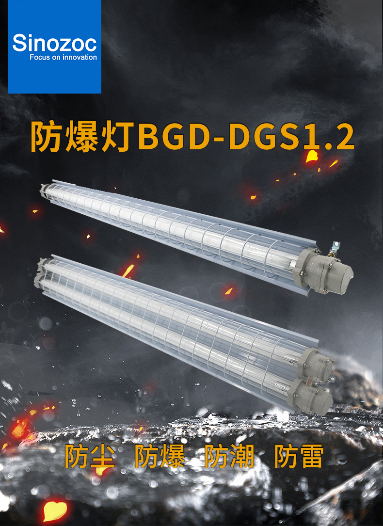 BGD-DGS1_01.jpg