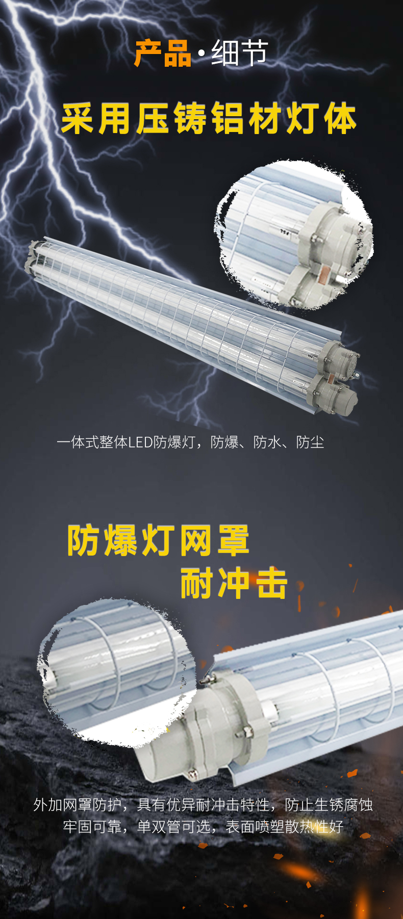 BGD-DGS1_06.jpg