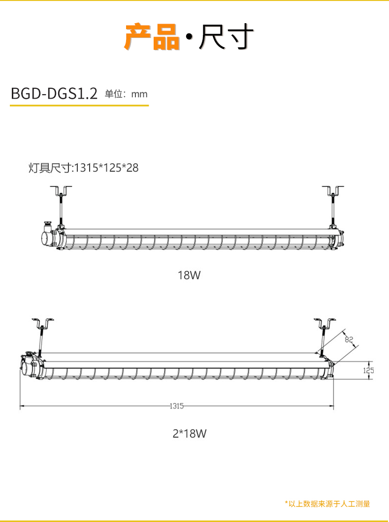 BGD-DGS1_10.jpg