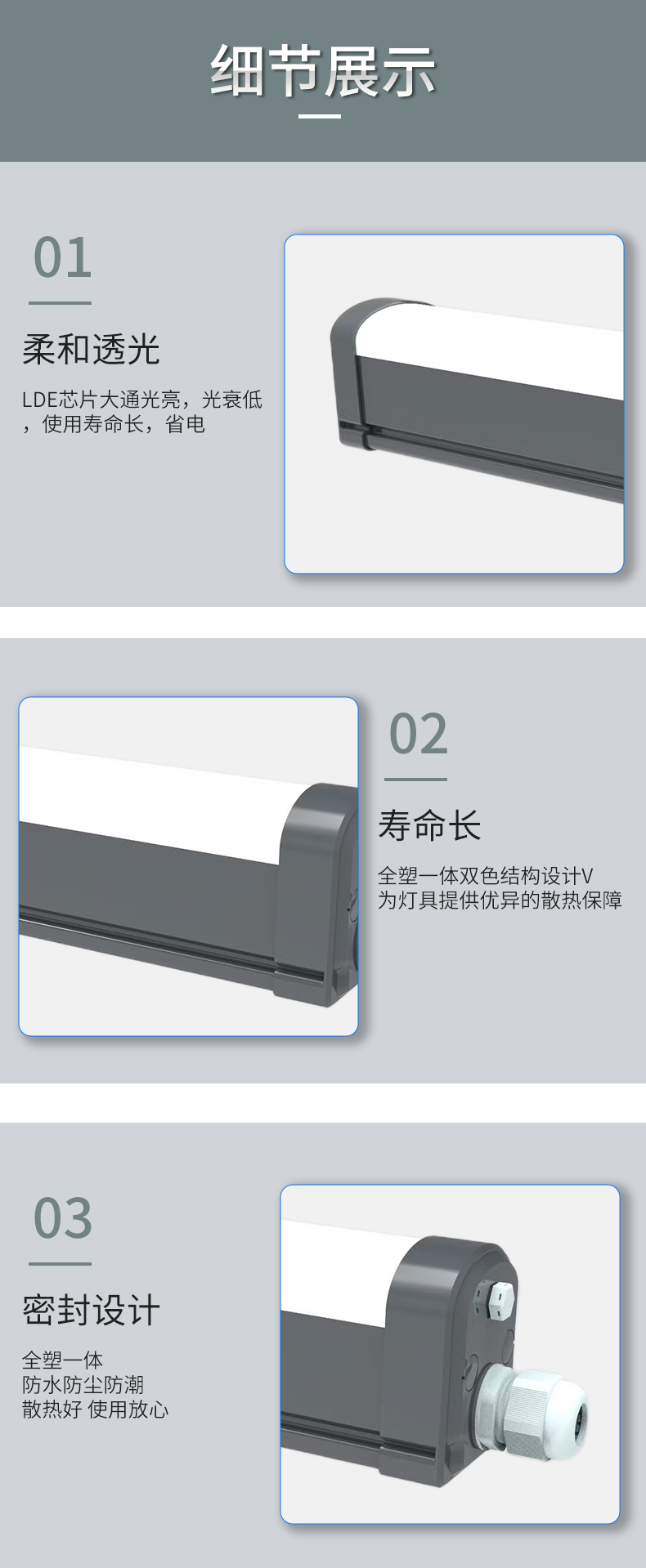 三防灯ZCTP796_07.png