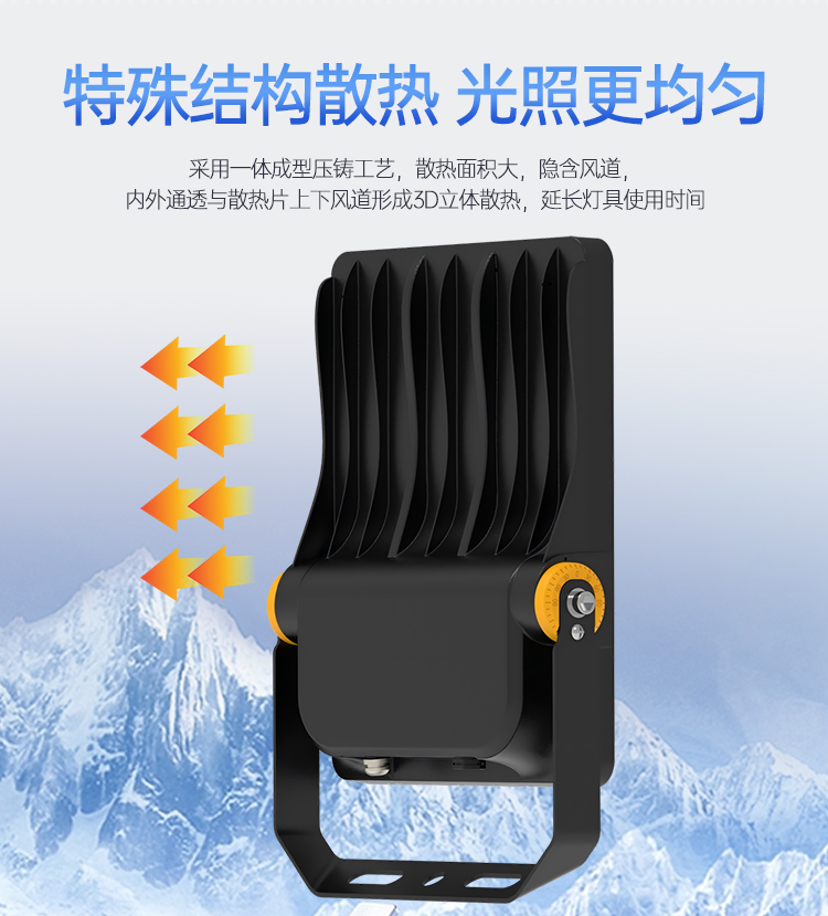 ZCFL699_06.jpg